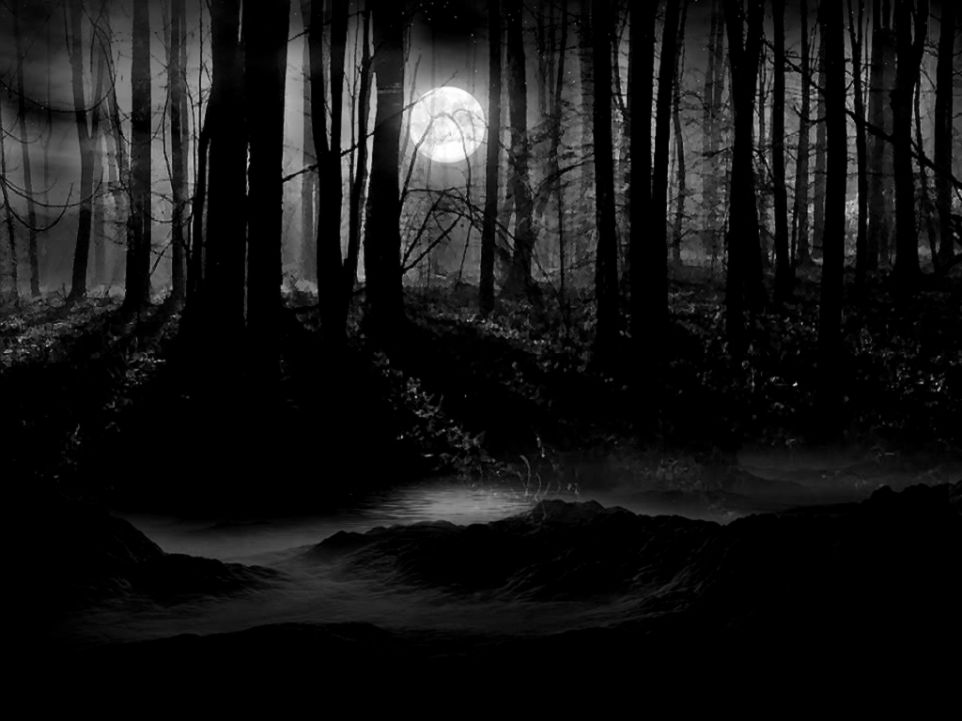 Full Moon Fever A Short Story adapted from an earlier post My Full Moon Fever A Short Story adapted from an earlier post My