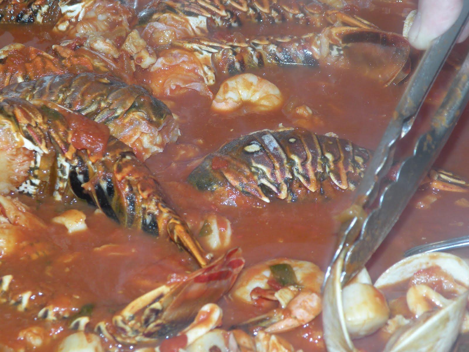 1001 MEATBALLS SERVED: Feast of The Seven Fishes! A Traditional Italian