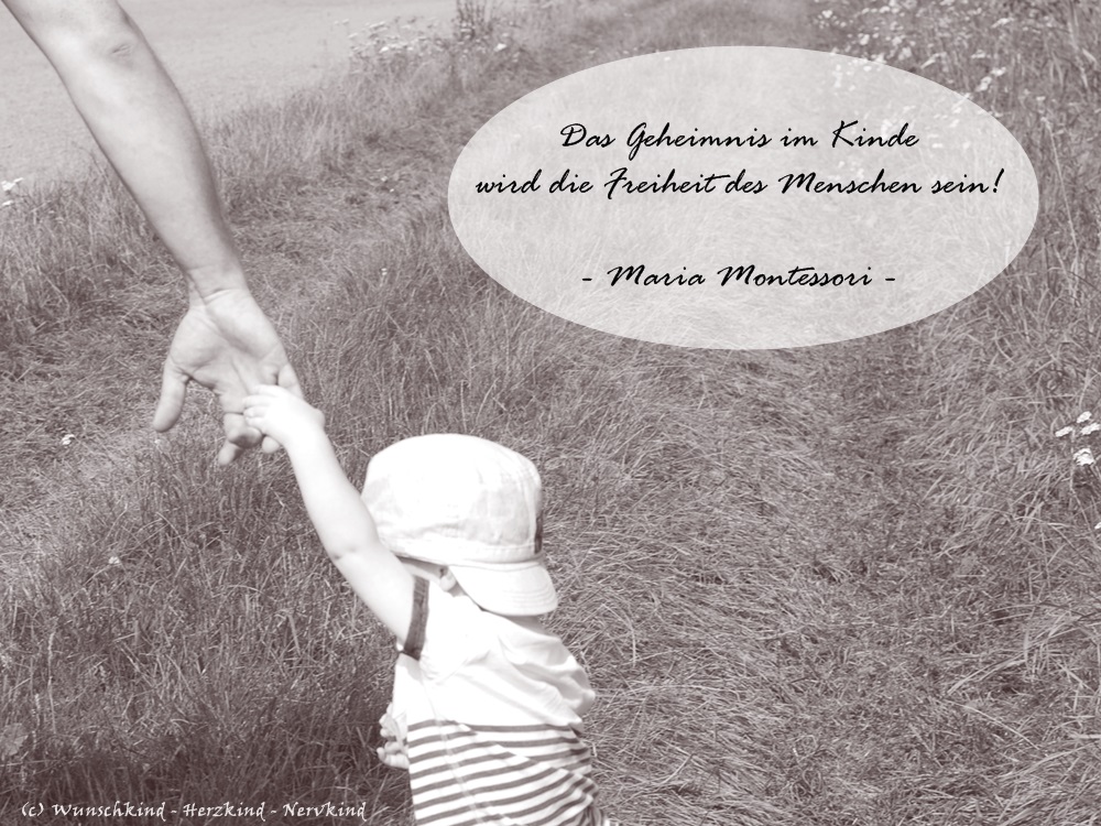 Download Zitate erziehung montessori For Free