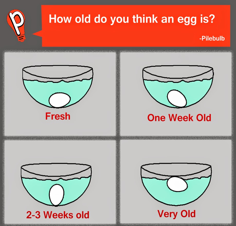 Kitchen Tip 2 How do you tell how old an Egg is? PILEBULB