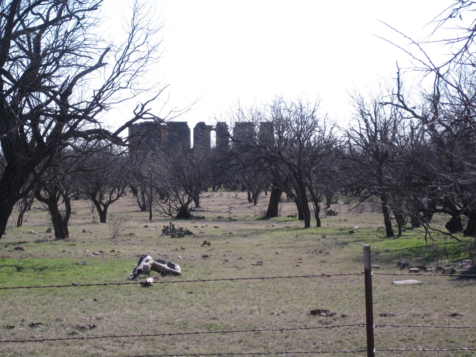 Diary "Ghost Town" Belle Plain, Texas (Belle Plain Cemetery)