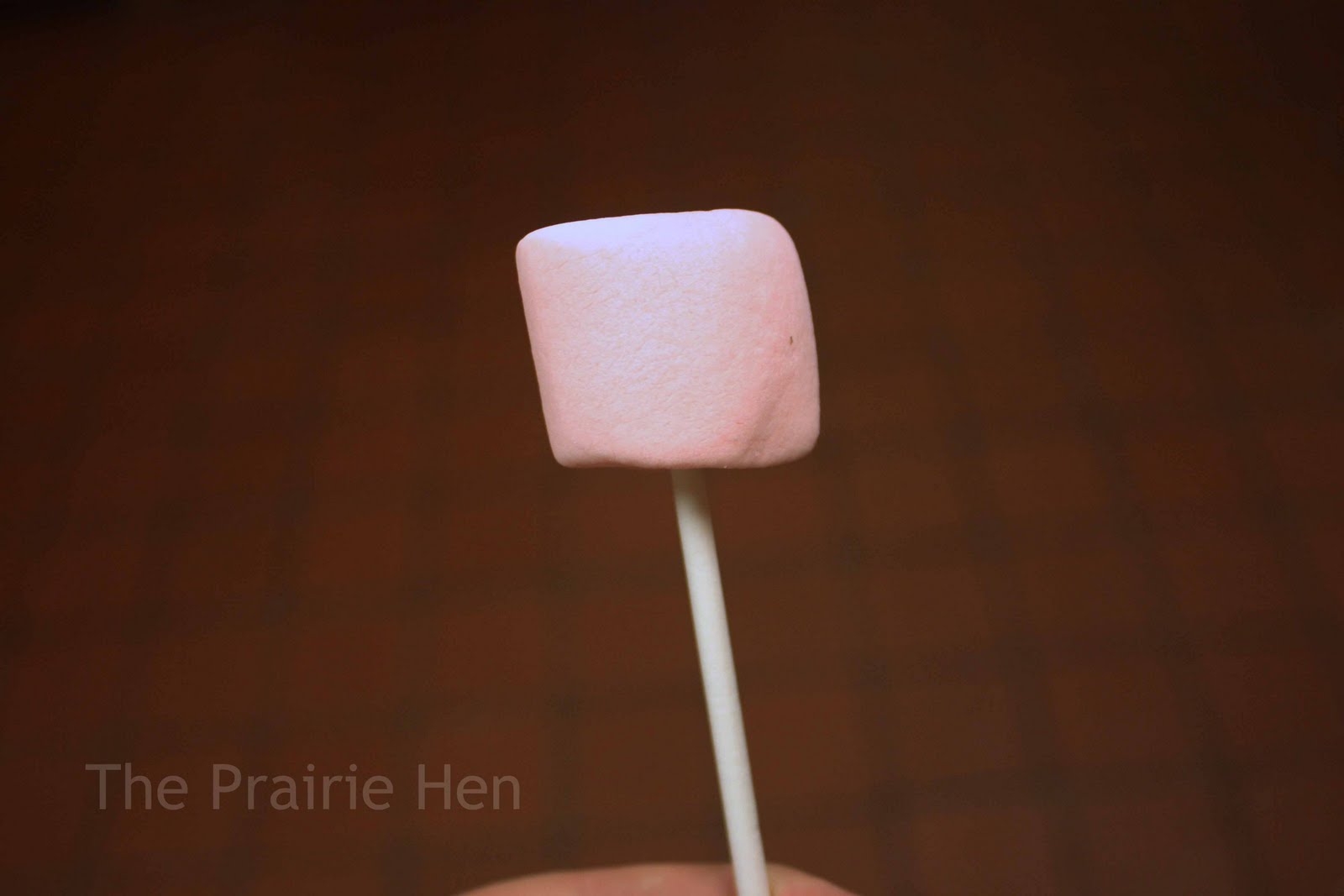 The Prairie Hen's Nest Survivor Pops Breast Cancer Awareness