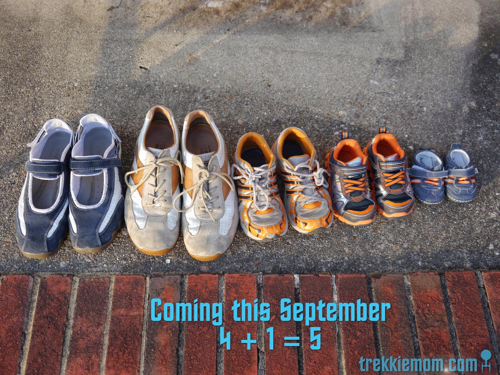 Trekkie Mom Creative Baby Announcements