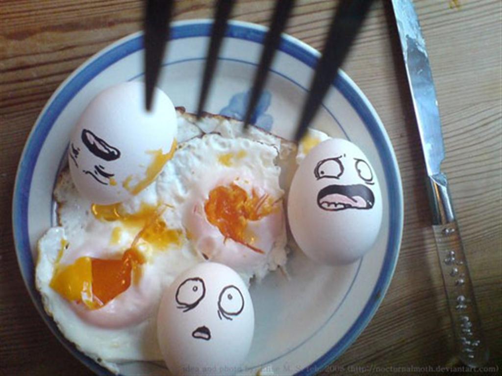 Eggs Humor Funny Wallpapers i HD Wallpapers HD Computer Wallpapers Free Wallpapers