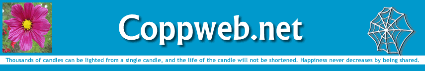 The Coppweb