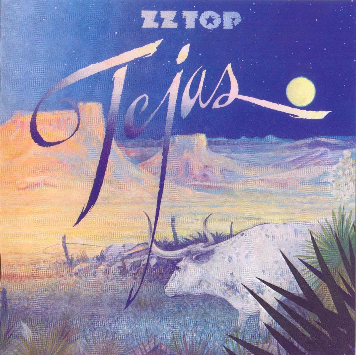 Rock'n Roll & Heavy Metal ZZ Top