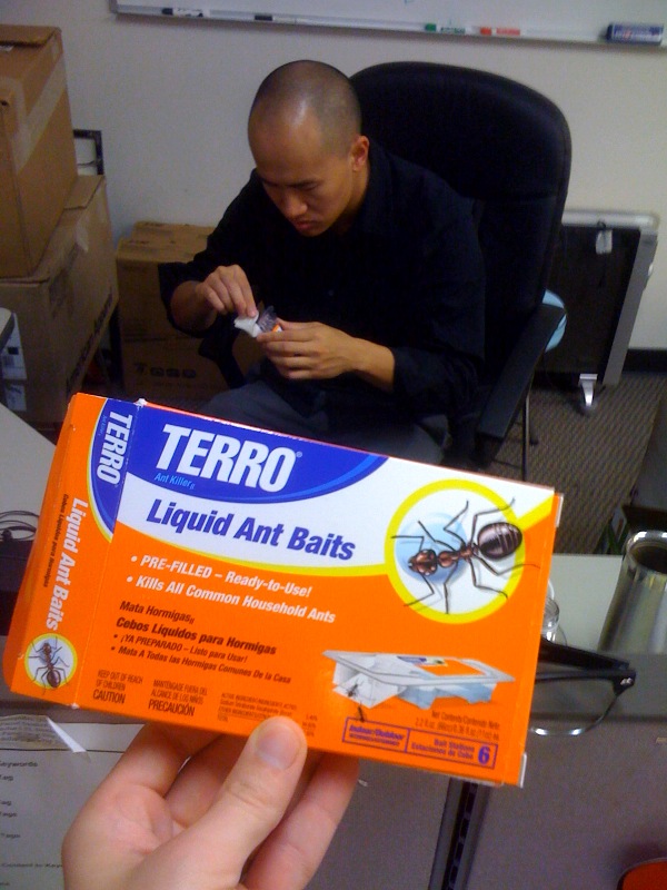 Terro Liquid - Best Ant Killer