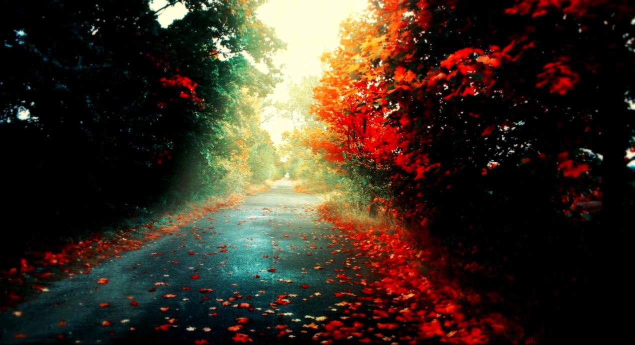 High Definition and high resusolution wallpapers High Definition and high resusolution wallpapers