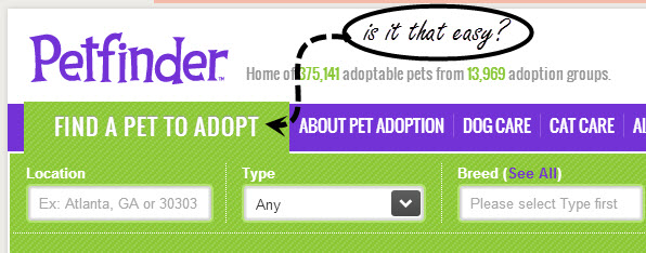 How do you adopt kittens using Petfinder?