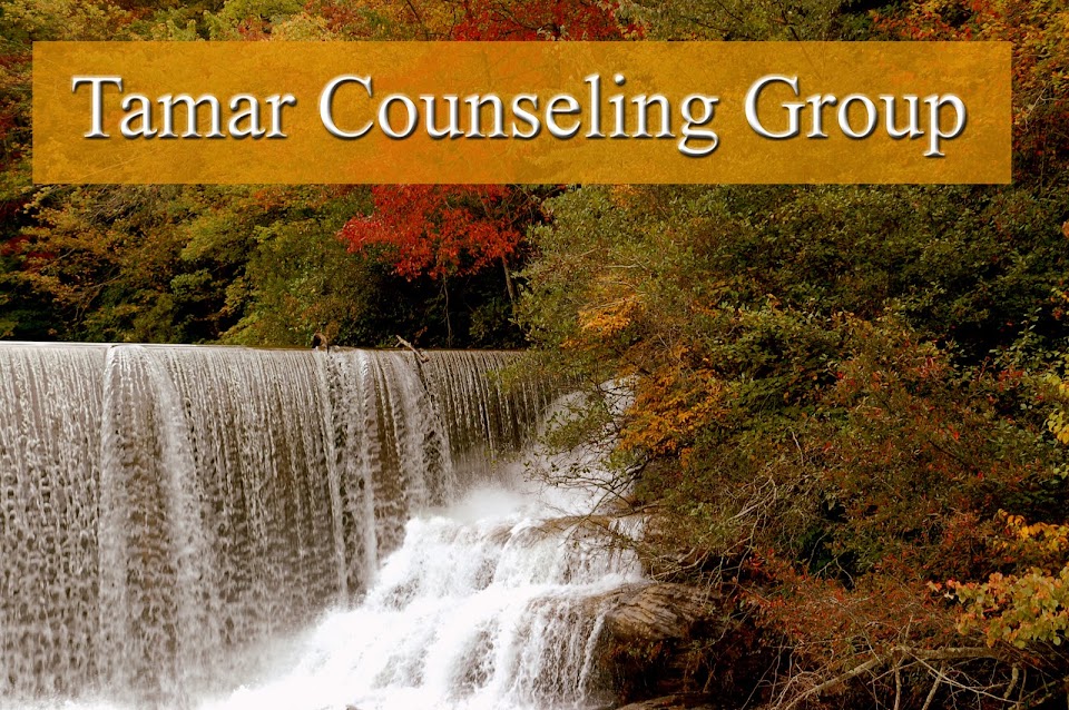 TAMAR Counseling Group Blog