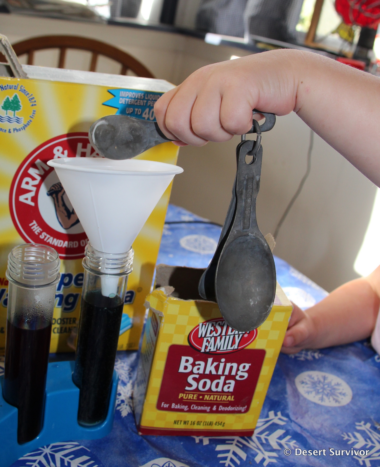 Desert Survivor The Red Cabbage Juice Science Experiment