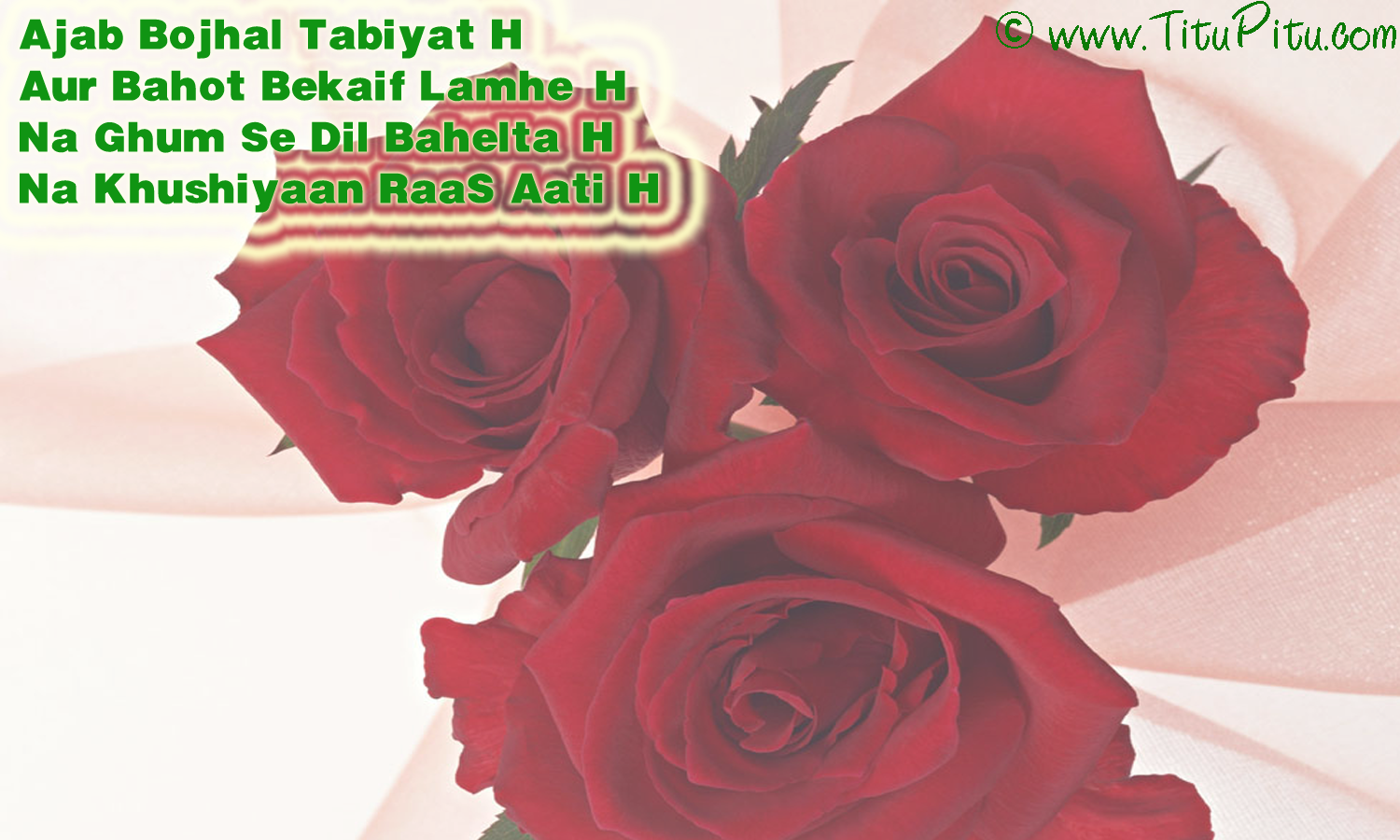 Dardedil sms in hindi Haryanvi makhol Jokes in Hindi Hindi