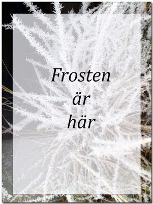 Frost som inspiration & 10 adventskalendrar Frosten