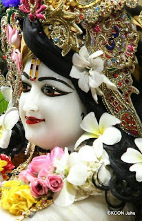 Radhe Krishna Pic