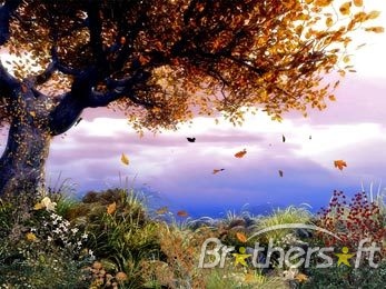 3D wallpaper HD: animated landscape wallpapers HD