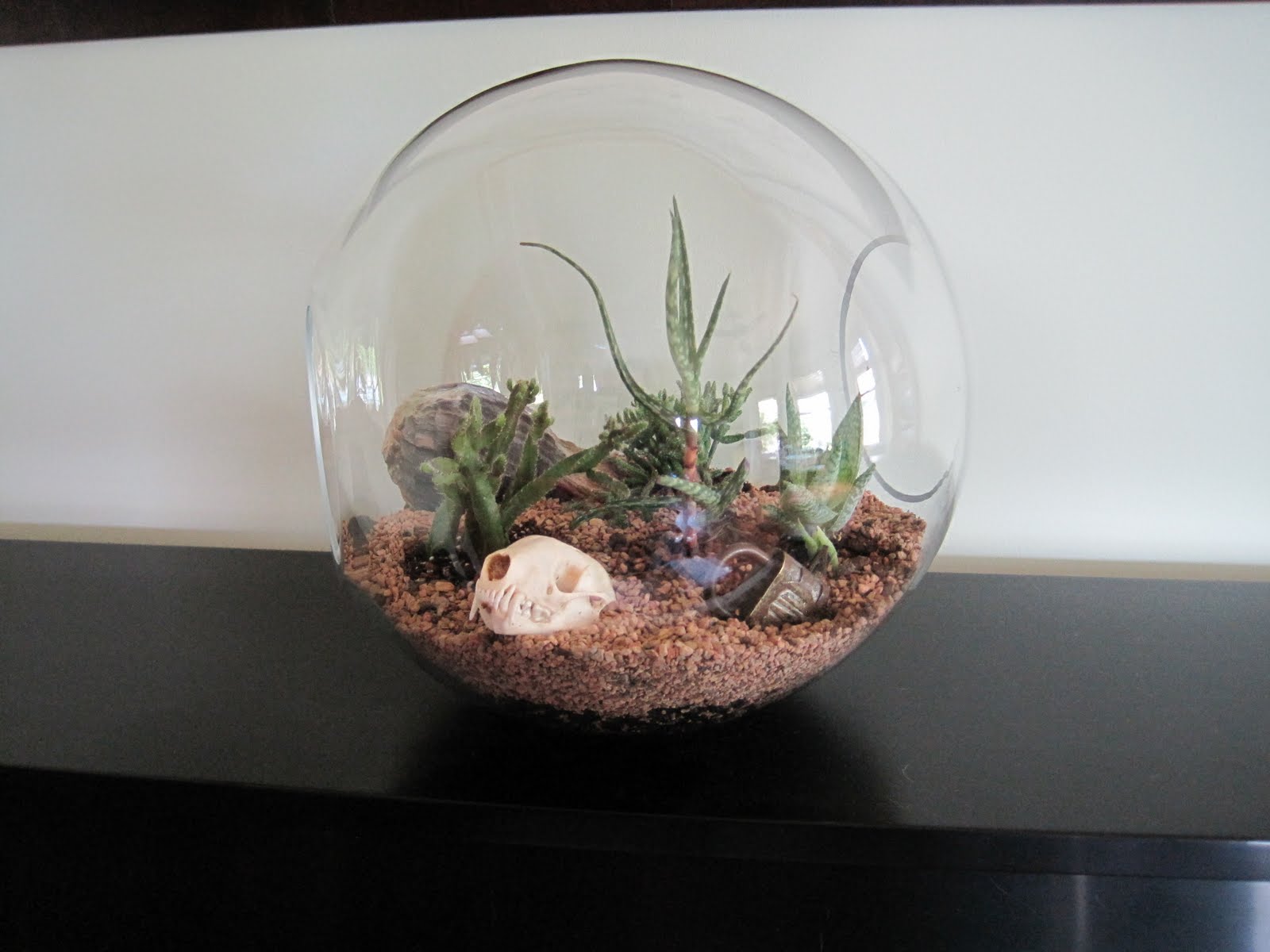 Desert Terrarium