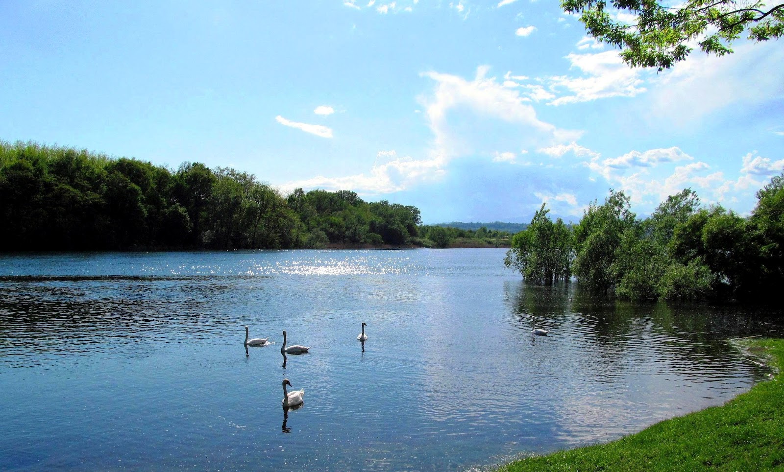 TicinoRiverPark Sesto Calende