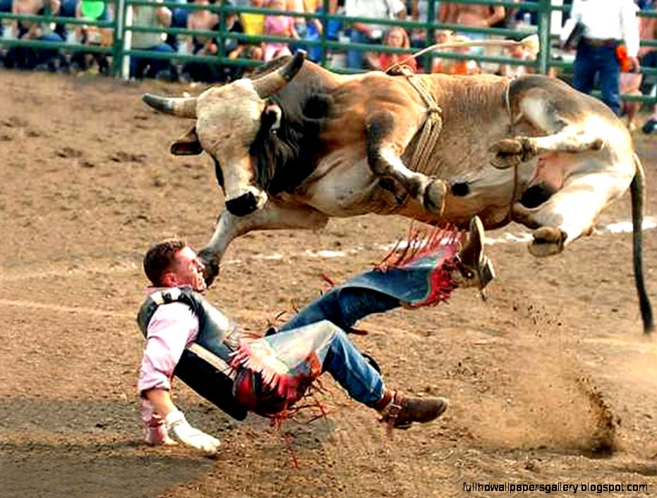Bull Riding Wallpapers Wallpaper Cave Bull Riding Wallpapers Wallpaper Cave