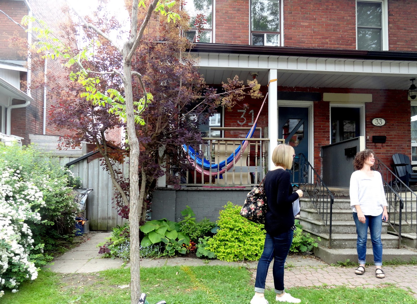 Jeffco Gardener Siberian Peashrub By Dusty M