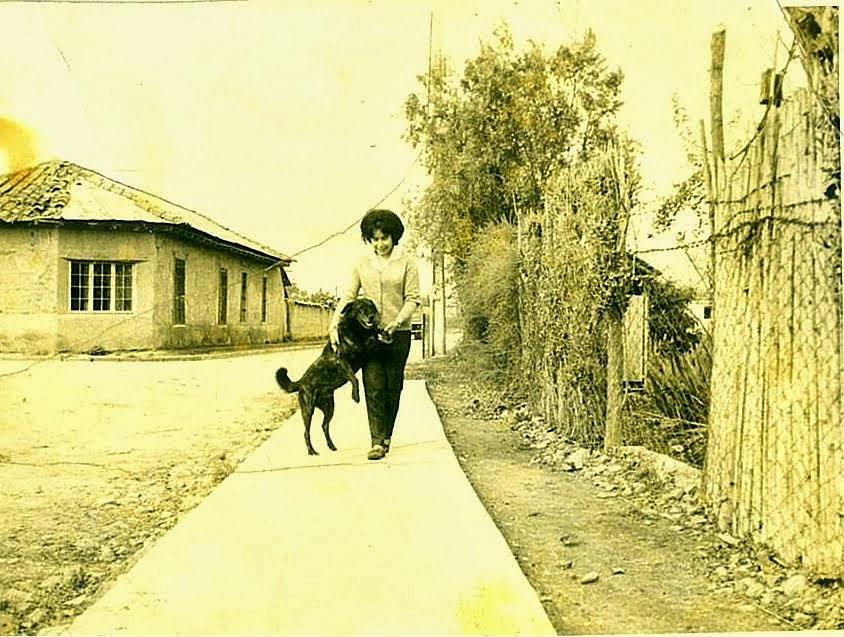 Vista de la calle Guardiamarina