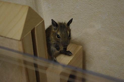 20120730-004.JPG