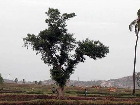 Kannada Kannadigaru 10 Reasons Why I Should Feel Proud To Be An Indian India,officially the republic of india (bharat ganrajya), is a country in south asia. kannada kannadigaru 10 reasons why i should feel proud to be an indian