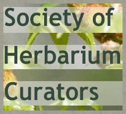 Society of Herbarium Curators