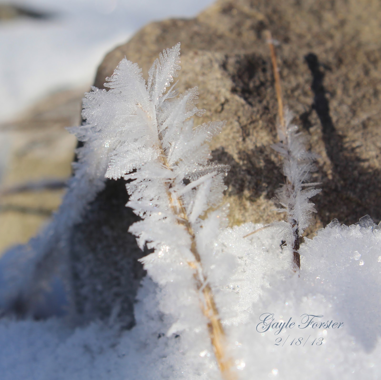 All About Beautiful Moments Snow Feathers