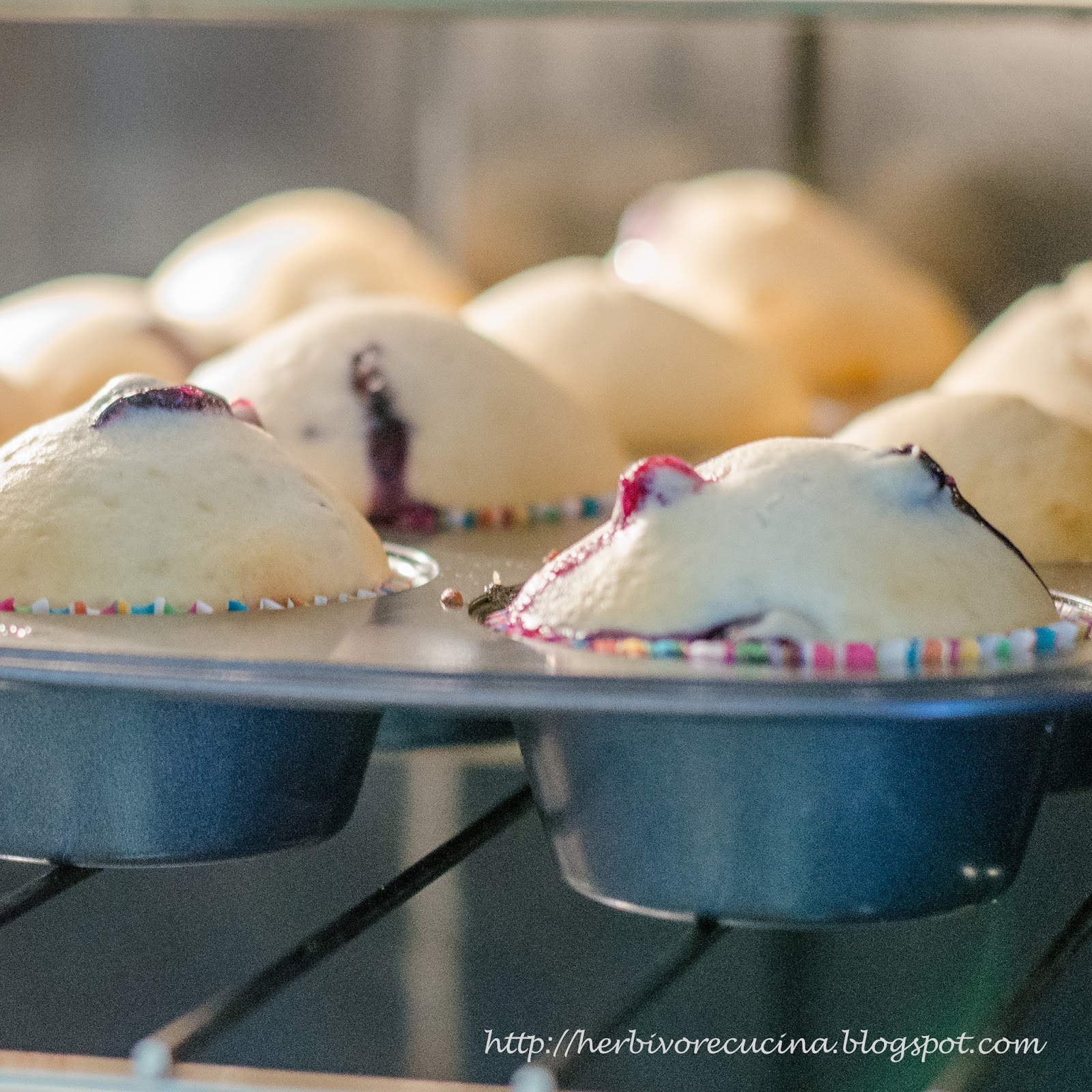 Herbivore Cucina Eggless Blueberry Yogurt Muffins