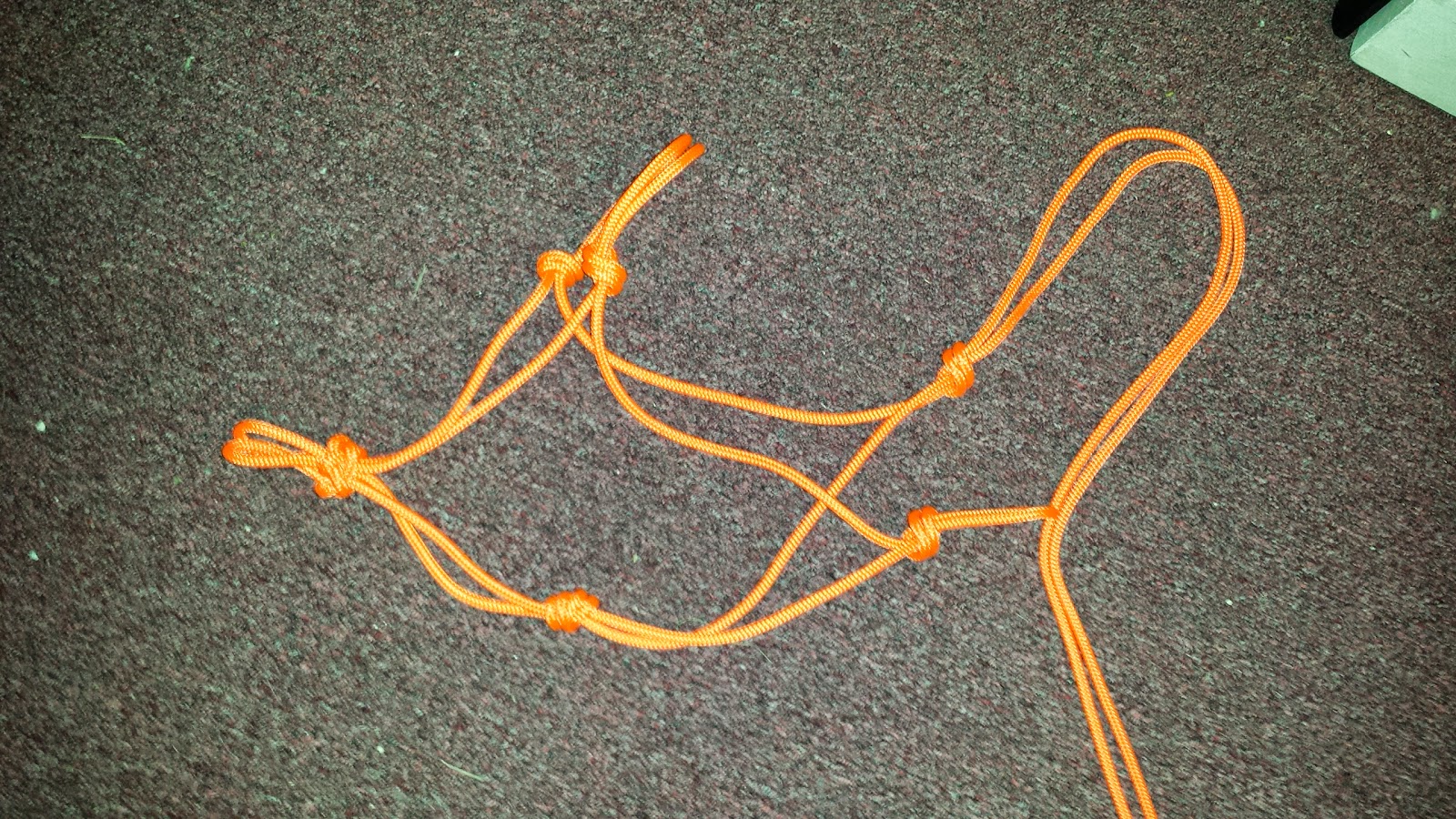 Starlight Lane Farm How To Tie Your Own Rope Halter