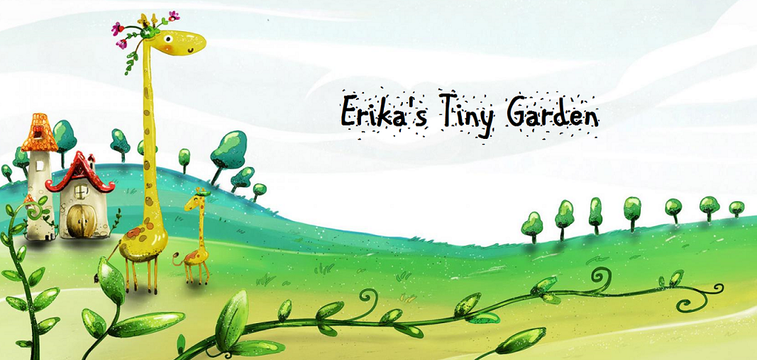 Erika's Tiny Garden