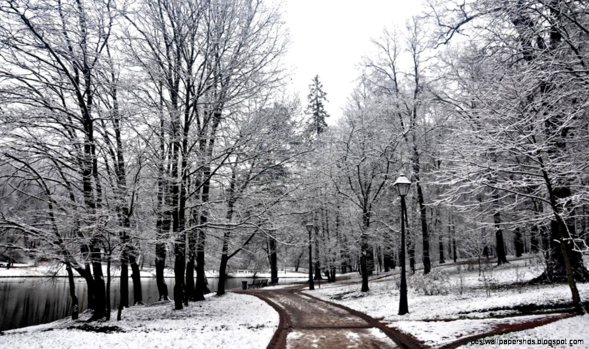 Nature Seasons Winter Nature Seasons Winter