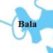 Muskoka Watershed Council schematic, Bala detail.