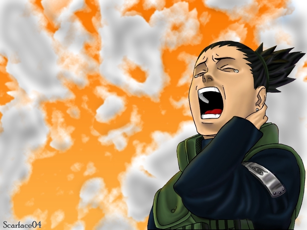 http://3.bp.blogspot.com/-fl2hCXvnsFg/Tqf7zLqtMxI/AAAAAAAAA-8/G69pCFwHNnA/s1600/Shikamaru_Wallpaper_19_1024x768_767.jpg