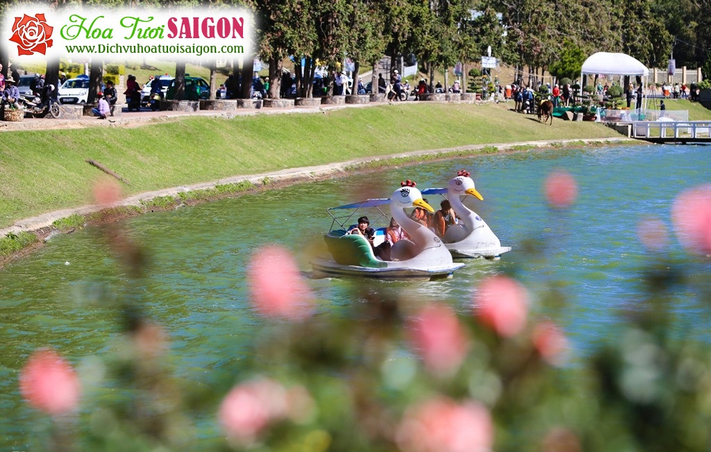 [Image: Nhin-lai-ve-dep-festival-Hoa-Da-Lat-2015-16.jpg]