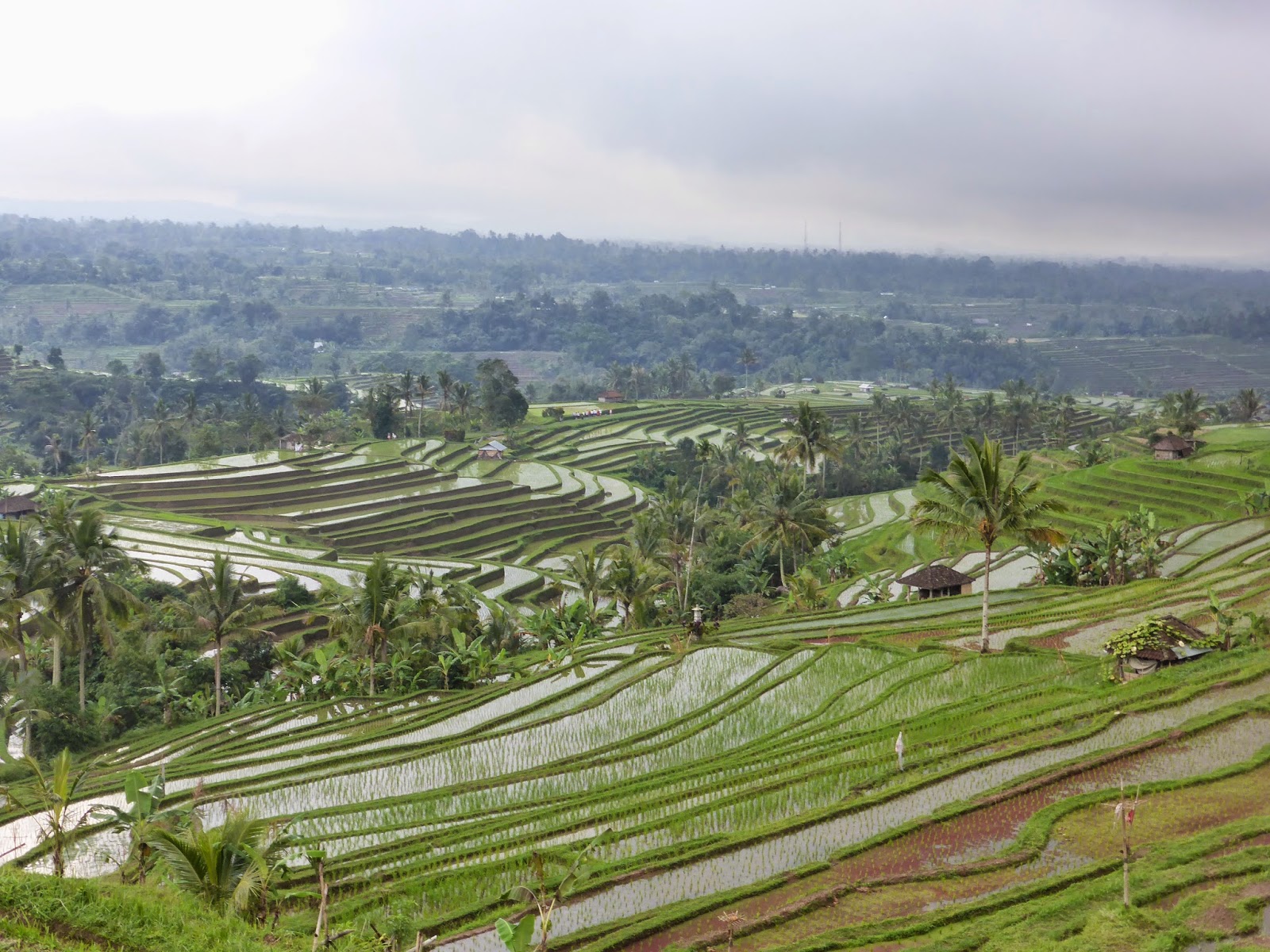 prostituee bezoek kost geld