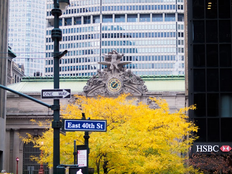 Bittersweet Colours Something Classic, Something Wild in NYC