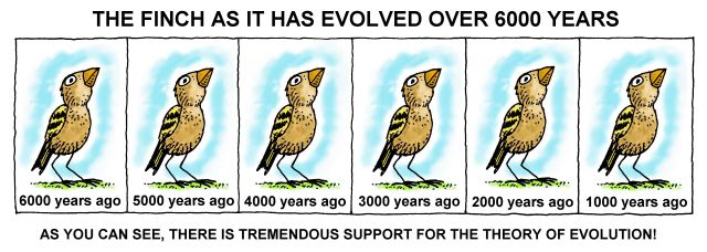 an argument against the modern theory of evolution A big reason creationist arguments against evolution are so effective is that the creationists wrongly believe that their understanding of evolution is what the theory of evolution really says, and the first self-replicating object didn't need to be as complex as a modern cell or even. an argument against the modern theory of evolution A big reason creationist arguments against evolution are so effective is that the creationists wrongly believe that their understanding of evolution is what the theory of evolution really says, and the first self-replicating object didn't need to be as complex as a modern cell or even.