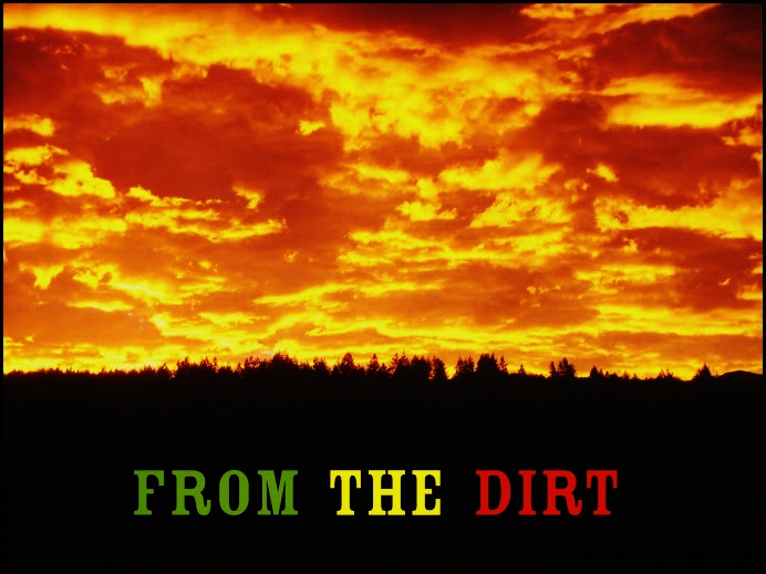 From the Dirt