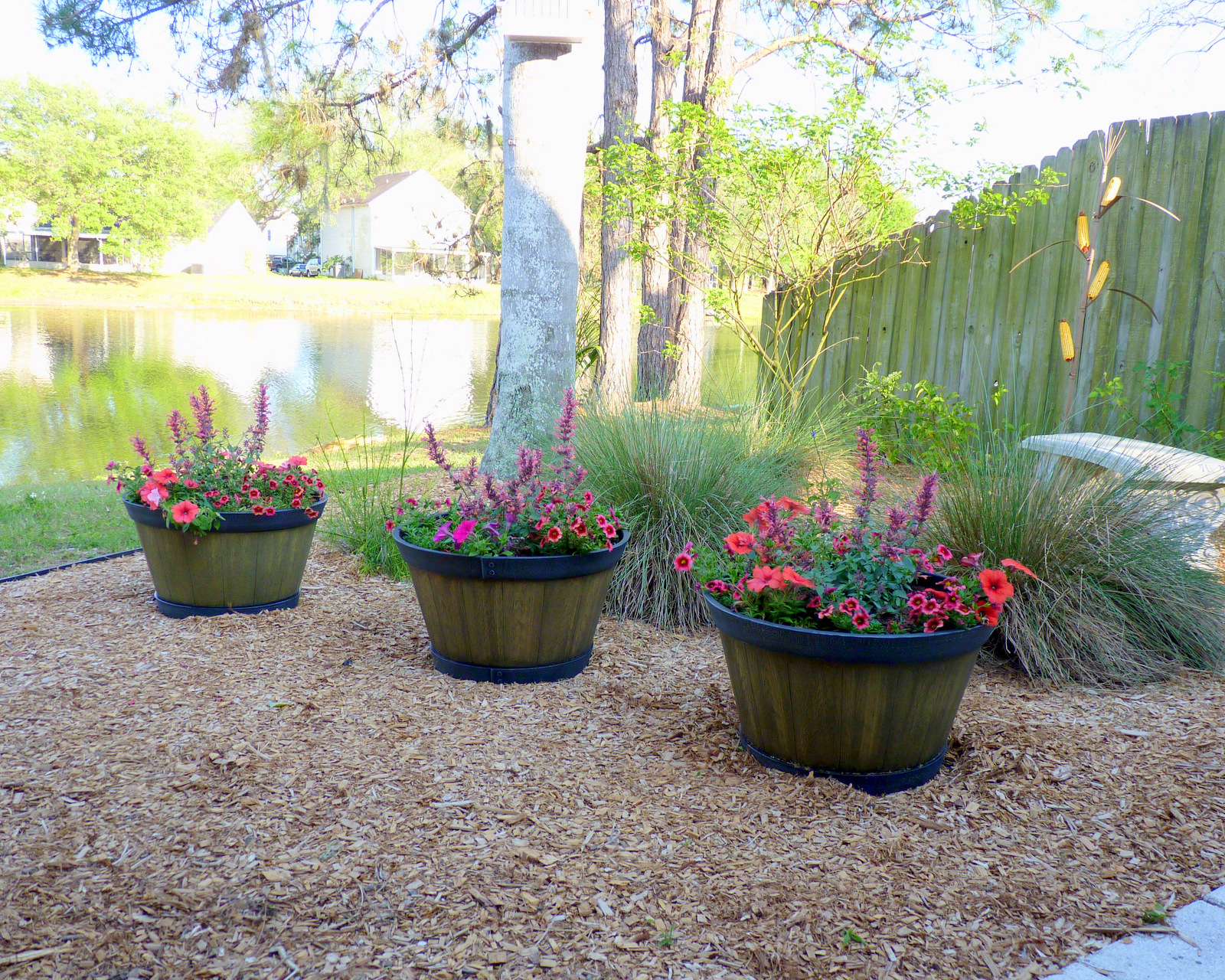 My Florida Backyard Roll Out the Barrel