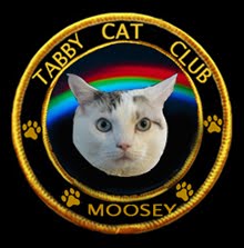 PROUD MEMBER - TABBY CAT CLUB