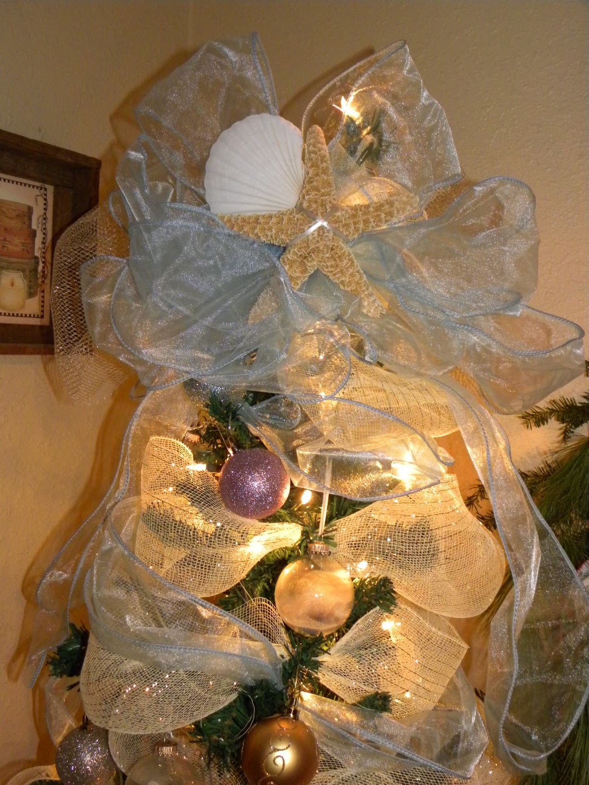 Discover Shelburne County Christmas Trees Nova Scotia style!