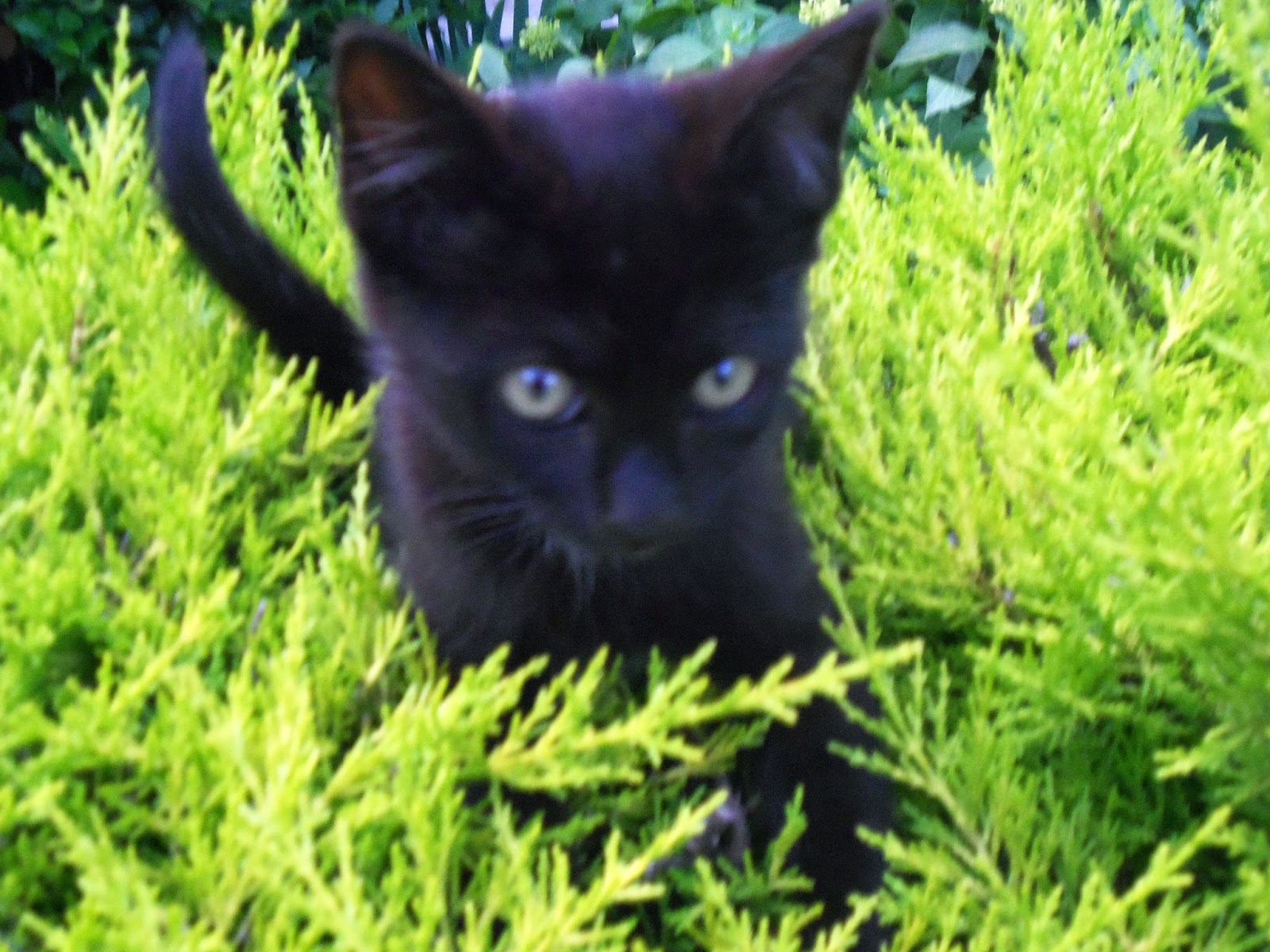 come si fa l amore per la prima volta yahoo