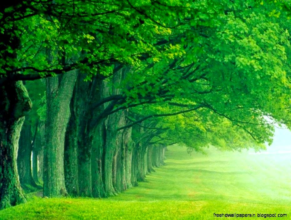 Desktop Wallpaper Gallery Nature Images 6 HD Wallpapers Desktop Wallpaper Gallery Nature Images 6 HD Wallpapers
