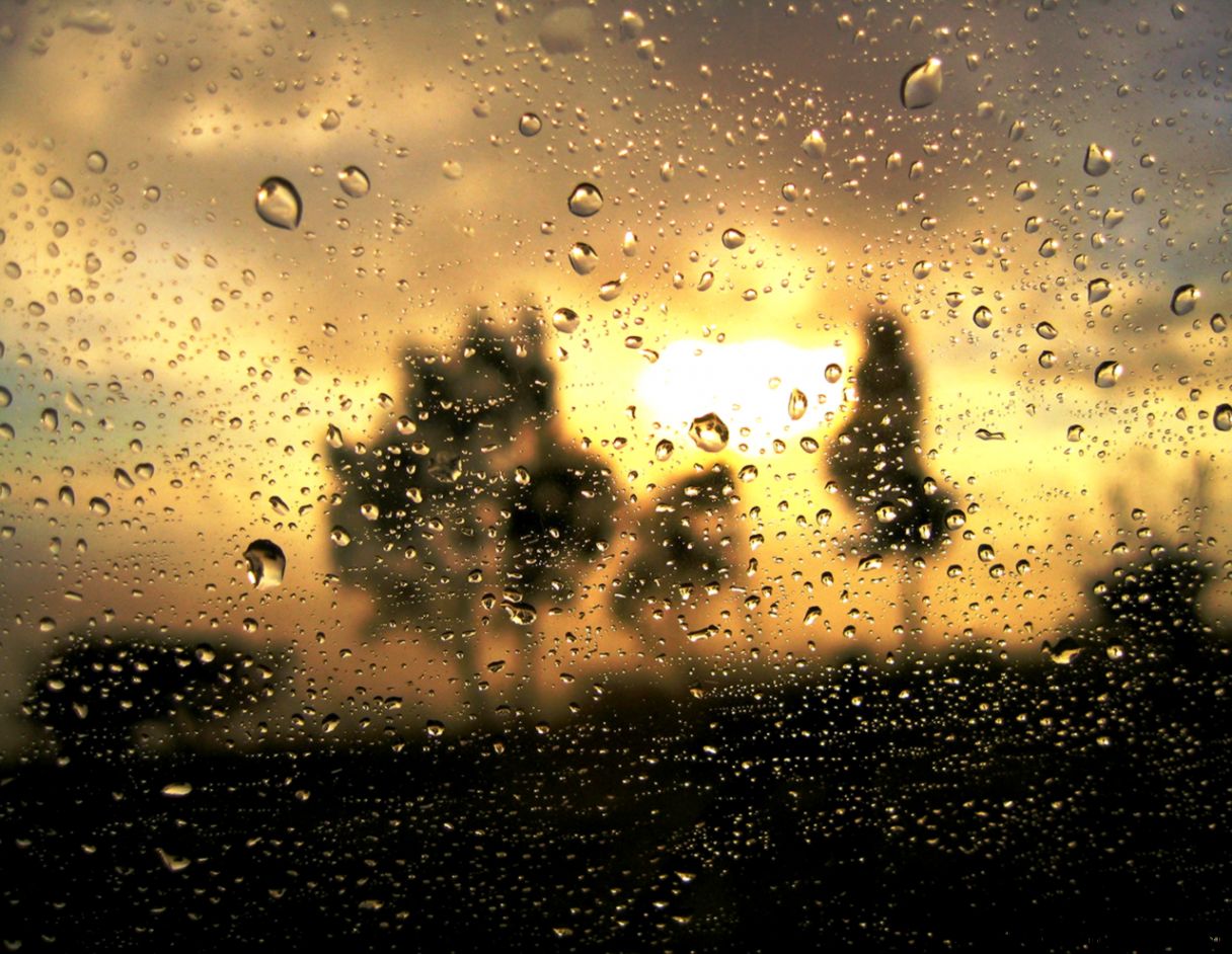 MovingWallpapers hd MovingWallpapers hd