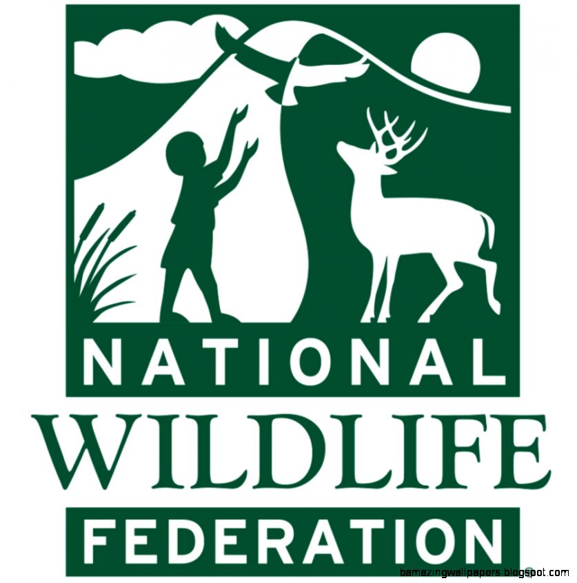 NationalWildlife YouTube NationalWildlife YouTube