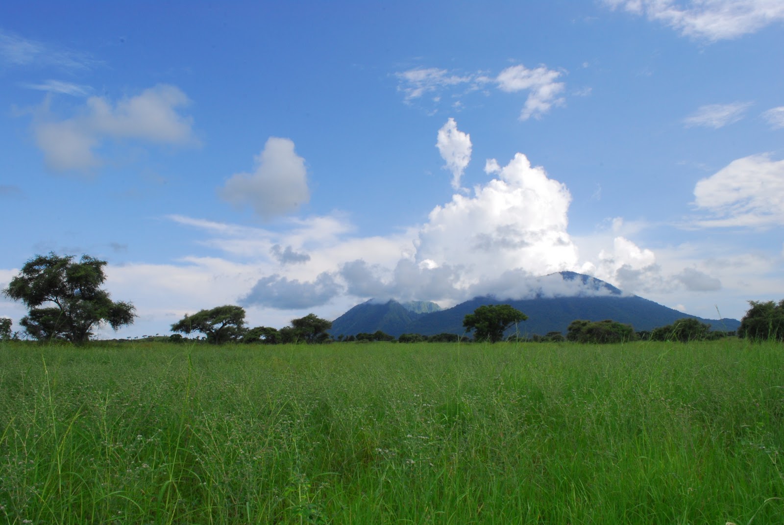 Taufik Hidayat Tebbie Blog's: Legenda Gunung Baluran, Situbondo - Jawa
