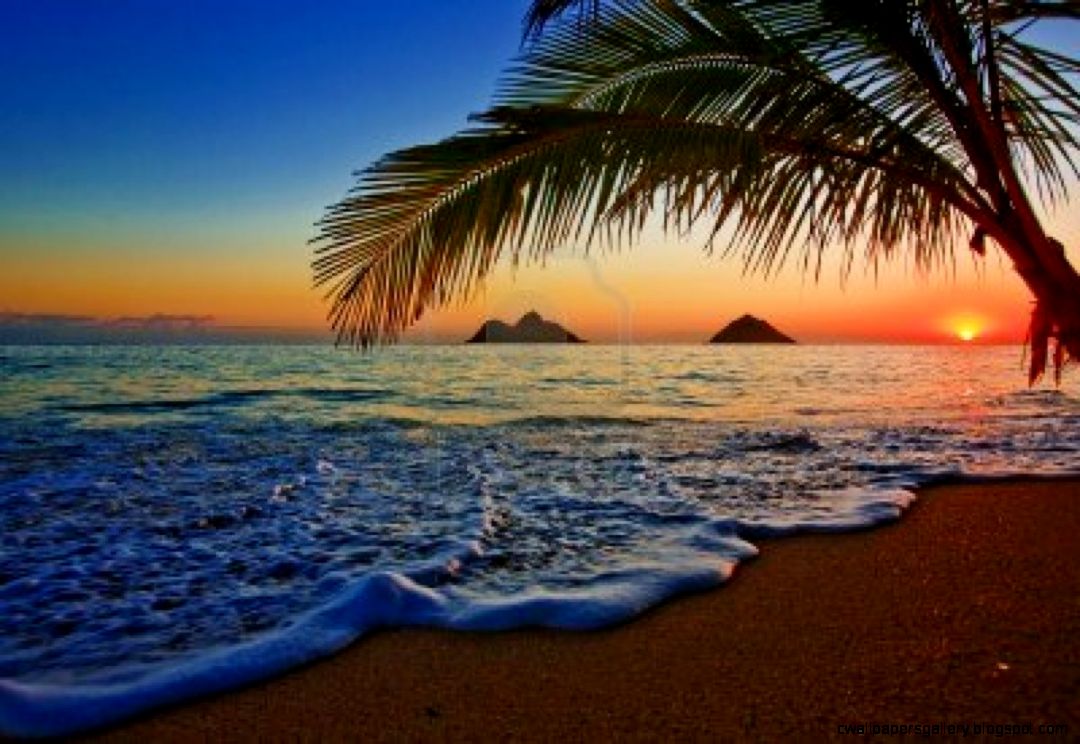 1000 images about Kauai on Pinterest Kauai Kauai Hawaii and Hawaii 1000 images about Kauai on Pinterest Kauai Kauai Hawaii and Hawaii