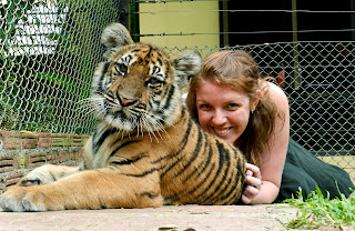 Tiger Kingdom vs Tiger Temple: Happy Tiger