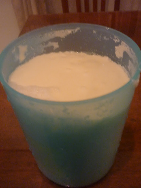 The Road Not Taken How to make Yogurt! (using the ricecooker)